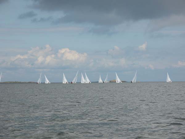 IMG_5535